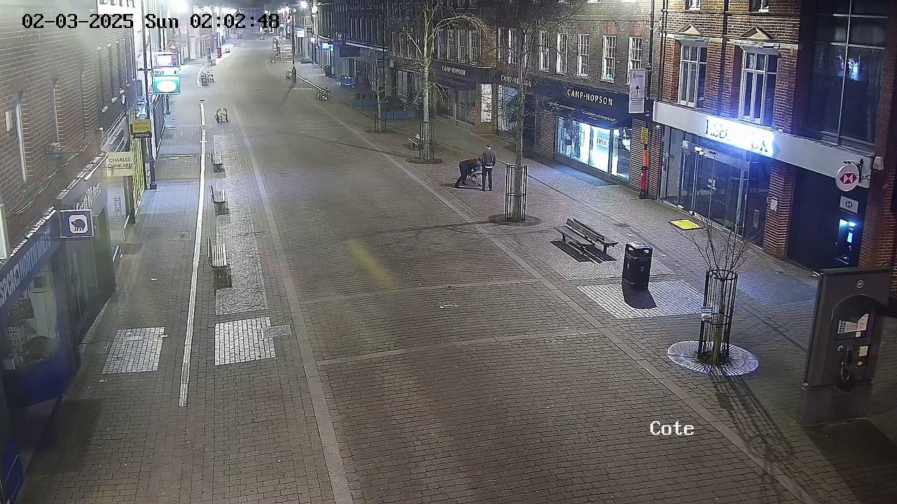 Paddington Bear theft CCTV