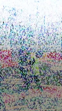 Un jour en stage à la Rudy Gobert Academy