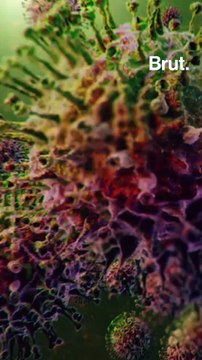 11 questions très simples sur le coronavirus