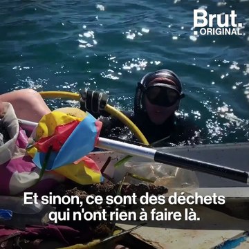 Marseille : un Grand Défi de ramassage de déchets