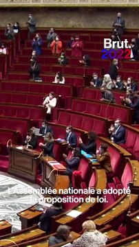 À quoi servent les élections législatives en 2022 ?