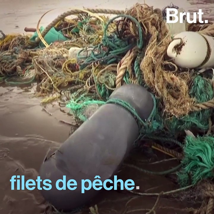 Bangladesh : des habitants sauvent des tortues d'une marée de plastique