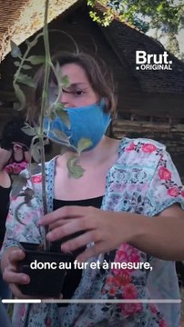 Les Jardinières masquées de Tours : des espaces verts à la disposition de tous