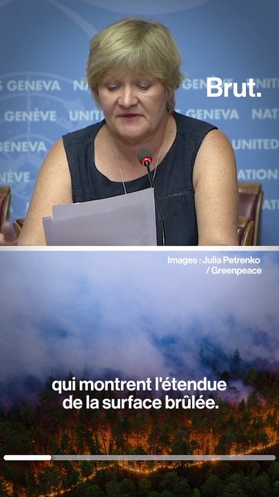 Incendies en Sibérie : la fonte du pergélisol pourrait renforcer le changement climatique
