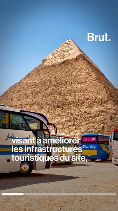 L'Égypte veut interdire les balades à dos de chameaux, chevaux et ânes autour des pyramides de Gizeh