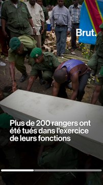 6 éco-gardes tués dans le parc national des Virunga