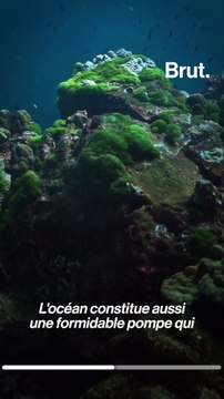 La skippeuse Alexia Barrier en mission pour le climat sur le Vendée Globe