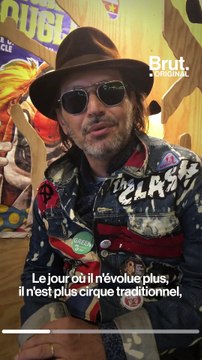 Cirque itinérants : les animaux sauvages progressivement interdits