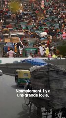 50 degrés à l'ombre : l'Inde suffoque