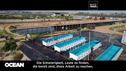 Die maritime Industrie wirbt um junge Straftäter: „Jeder verdient eine zweite Chance“