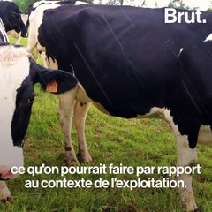 Pascal, éleveur laitier dans la Manche