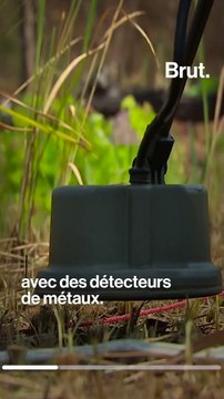Des rats pour détecter les mines antipersonnel
