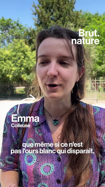 Le street-art pour alerter sur l’extinction animale