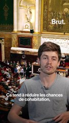 Législatives : voilà ce que changerait la proportionnelle