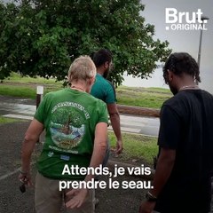 Nouvelle-Calédonie : cette association replante des mangroves pour protéger les côtes