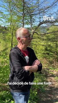 Le festival Les Nuits des Forêts