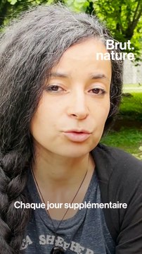 Orque morte dans la Seine : ce que l’on sait