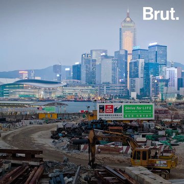 Déforestation, élevage intensif : les facteurs favorisant les épidémies