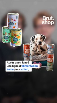 Une litière pour chat composée à 100% de matières naturelles