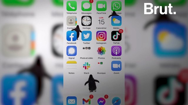 Qui se cache derrière ces faux-comptes qui inondent nos messageries ?