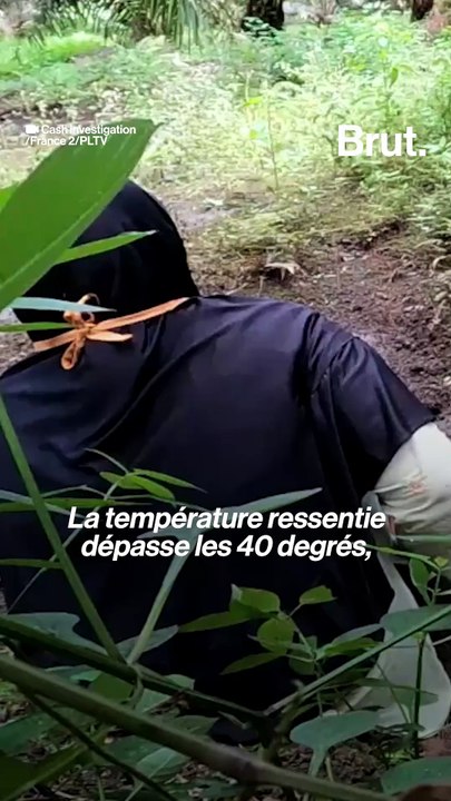 Exploitation et travail forcé d’enfants derrière l’huile de palme