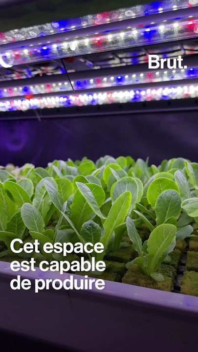 Le parking abandonné d'une cité transformé en ferme urbaine