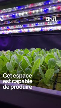 Le parking abandonné d'une cité transformé en ferme urbaine