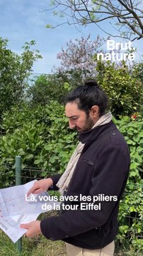 Tour Eiffel : des arbres centenaires bientôt abattus ?