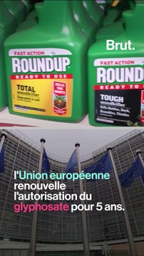 Pesticides : en France, on en est où ?
