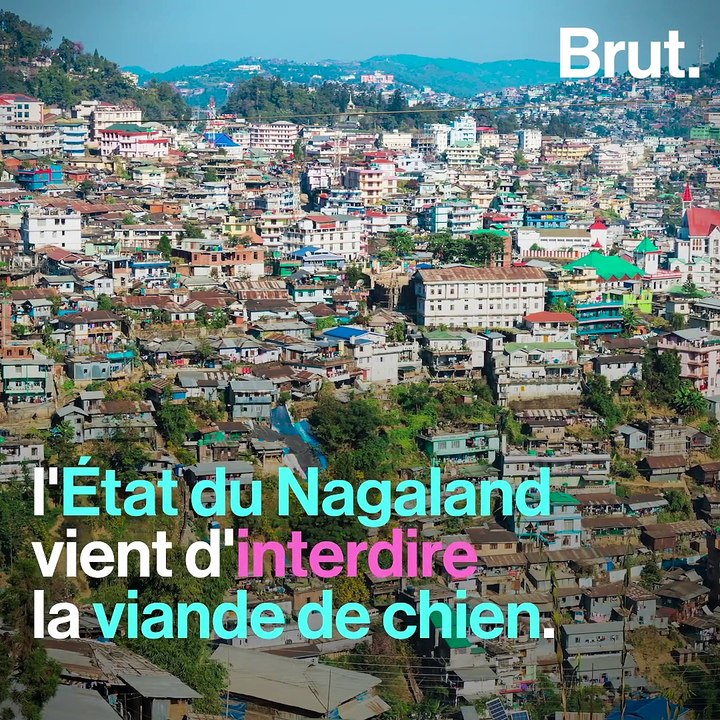 5 bonnes nouvelles pour la planète en juillet 2020