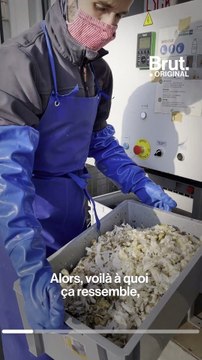 Ils transforment les couches pour bébés en compost