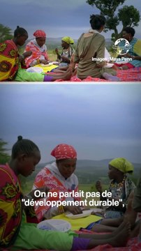 Depuis ses 8 ans, Maya Penn multiplie les initiatives écologiques