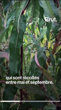 Pendant ce temps-là... - 3 décembre 2020