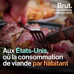 Une baisse inédite de la production de viande mondiale