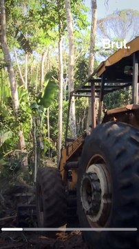 Le monde a perdu 178 millions d’hectares de forêt depuis 1990