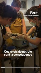 Des oiseaux victimes d'un pétrolier qui a coulé… en 1980
