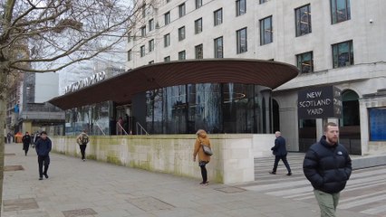 No misconduct from Met officers in Chelsea Bridge death, watchdog finds