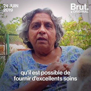 Ce sanctuaire indien accueille 700 animaux