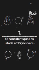 5 points communs entre le clitoris et le pénis