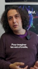 Chanson dans la tête : c’est quoi un ver d’oreille ?