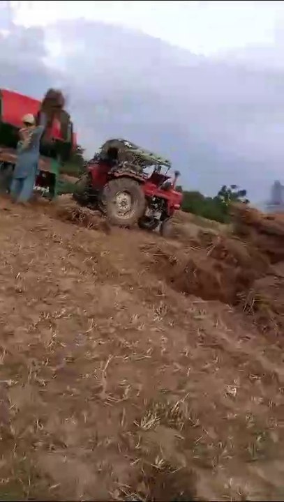 machine for wheat ,natural