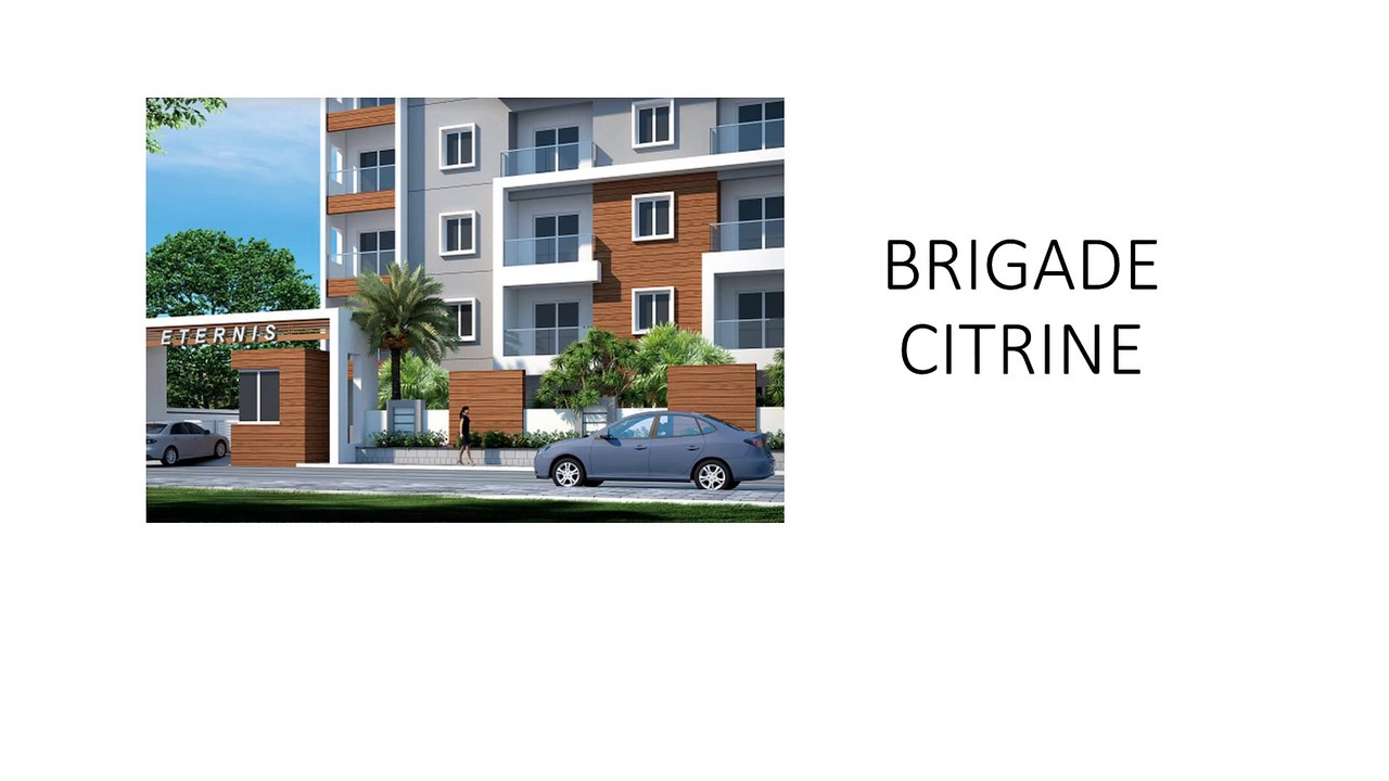 BRIGADE CITRINE