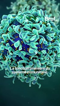 4 choses à savoir sur la recherche sur le cancer