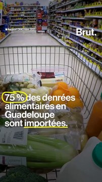 Ils livrent des paniers de produits frais et locaux en Guadeloupe