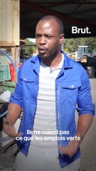 Comment les villes d'Afrique du Sud contribuent à la création d'emplois "verts" ?