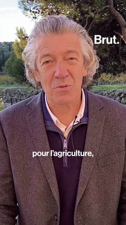 Vins bio, vegans, biodynamiques... Mais au fait, c'est quoi les différences ?