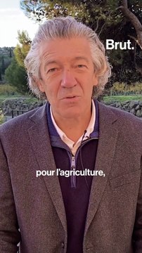 Vins bio, vegans, biodynamiques... Mais au fait, c'est quoi les différences ?