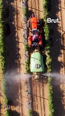 Il invente un ketchup sain et bio