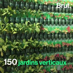 Inde : Un homme crée des jardins contre la pollution