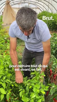 “On a privé les consommateurs du droit de savoir ce qu’ils mangent”